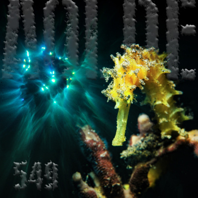 Podcast Al Otro Lado Del Espejo