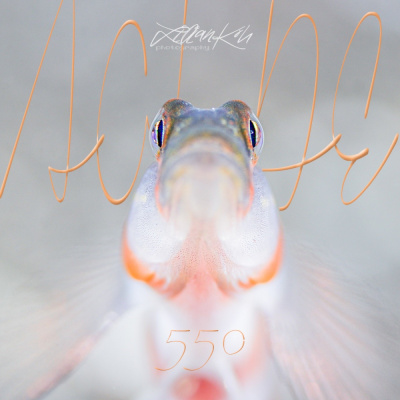 Podcast Al Otro Lado Del Espejo