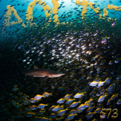 Podcast Al Otro Lado Del Espejo