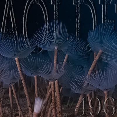 Podcast Al Otro Lado Del Espejo