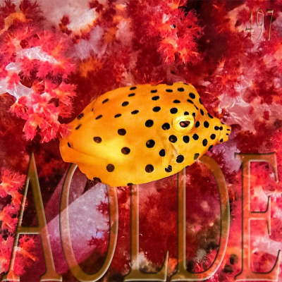 Podcast Al Otro Lado Del Espejo