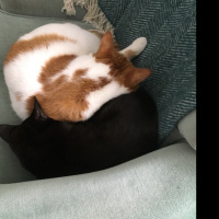 Matt’s Mini Episode