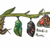 Radio Rumi Program 51: There are Thieves in Town (1)