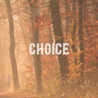 Adam - Choice