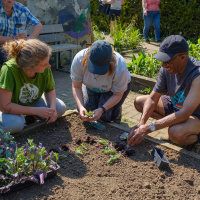 Tackling Food Poverty The Community Led Way