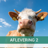 De boer op met Bart - E2: Boer Bavo over eerlijke prijzen