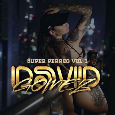 Dj David Gomez