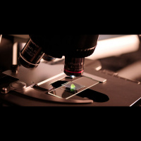 48. La vida vista a través de un microscopio