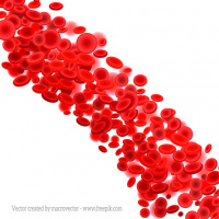 115. Microbiótica, ayuno y detox