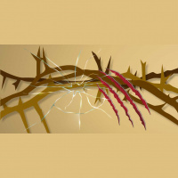 76. Conocer lo que te indica el dolor