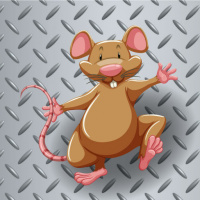 78. Año de la Rata de Metal 2020, introducción