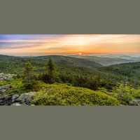 45. Vivir la naturaleza con Xavi Callejo