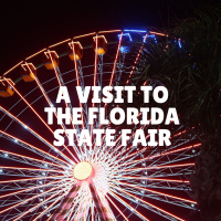 Fried food  fun at the Florida State Fair