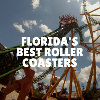Floridas Ten Best Roller Coasters (Redux)