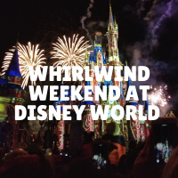 Whirlwind Weekend at Disney World