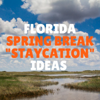 Florida Spring Break Staycation Ideas