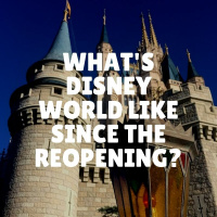 Whats Disney World like since the reopening?