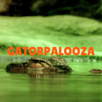 Gatorpalooza