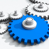 Pick a Role in Software Development Company 2020/2021