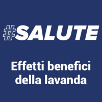 #Salute - I benefici della lavanda