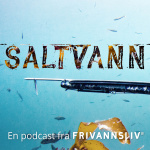 Saltvann