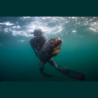 Salte sommerfugler del 2 - Våte drømmer blir virkelige