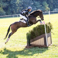 Alex Conrad - Pre-Med to Starting Own Eventing Business