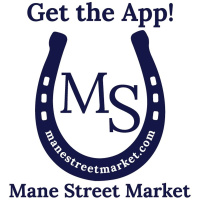 Bonus: Introducing Mane Street Market