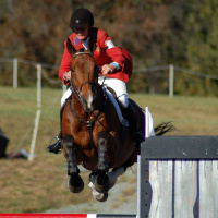 Karen OConnor - Interview with Hall of fame Event rider, Trainer  Coach