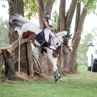 A Conversation With Advanced Rider Tracey Bienemann