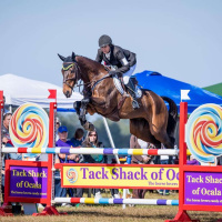 Laura VanderVliet - Eventer, USDF Silver Medalist and Disc Dog Enthusiast