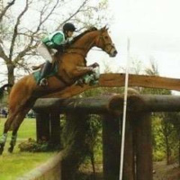 #114 Sara Mittleider Interview