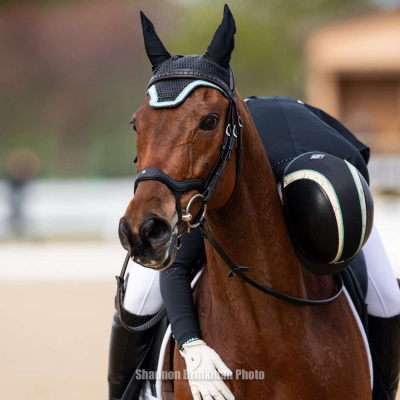 Major League Eventing Podcast