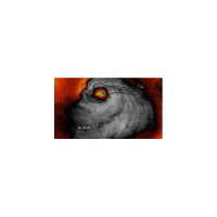 Shattered Lives: Hurricane Matthews Unlikely Heroes