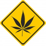 Docudrama Marihuana Now