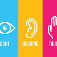 Senses Induced Lucid Dreaming