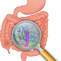 Back to Bacteria