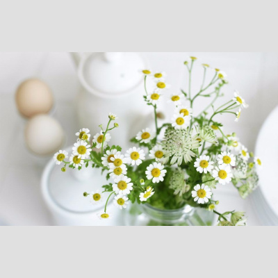 Flora-
