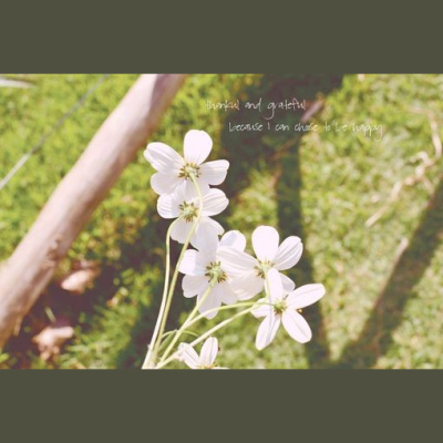 Flora-