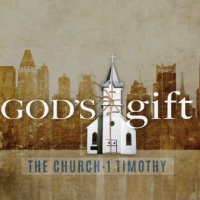 Manhood and Womanhood in the Church