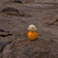 Why are you so easily swayed by outside conditions 为什么你总是很容易被外境改变