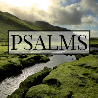Psalm 8