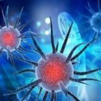 No Time for Corona Virus