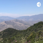 Miracle Mind: A Course In Miracles Audio Study