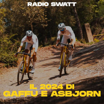 Radio Swatt