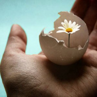 Anita Moorjani: Life Lessons from Beyond Death