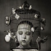 Craig Hassed: The Freedom Trap