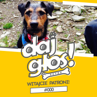 Daj Głos! Extra #00: Witajcie Patroni!