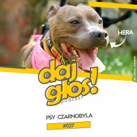 Daj Głos #027: Psy Czarnobyla