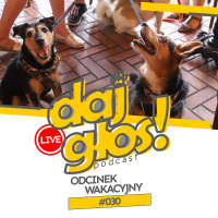 Daj Głos #30: Odcinek wakacyjny